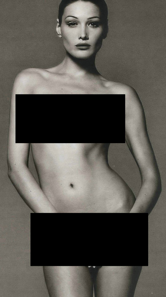 صورة كارلا بروني منزوعة توقع دبلوماسيين اوروبيين في الفخ صورة رقم 1