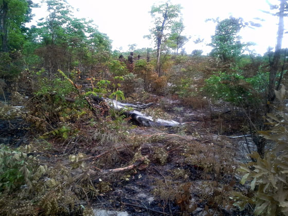 الكشف عن سر سقوط الطائرة الموزامبيقية المختطفة صورة رقم 1