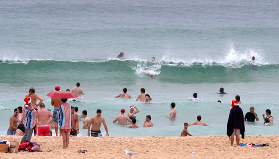 بالصور: عيد الميلاد.. جولة حول العالم صورة رقم 16