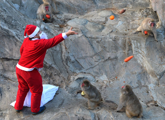 بالصور: عيد الميلاد.. جولة حول العالم صورة رقم 60