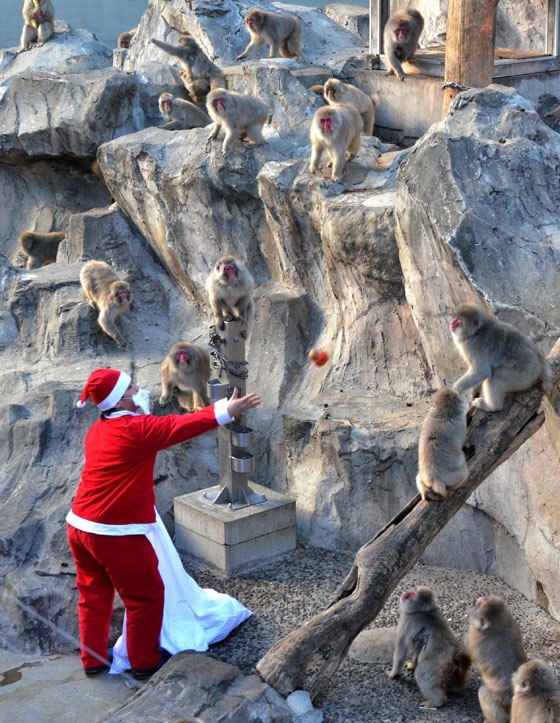 بالصور: عيد الميلاد.. جولة حول العالم صورة رقم 61