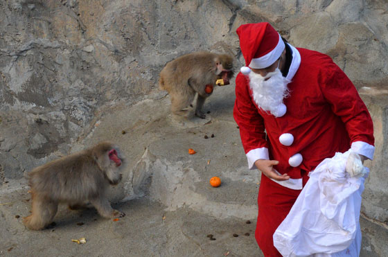 بالصور: عيد الميلاد.. جولة حول العالم صورة رقم 62