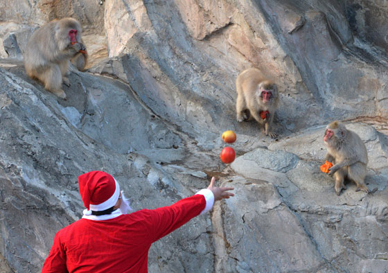 بالصور: عيد الميلاد.. جولة حول العالم صورة رقم 63