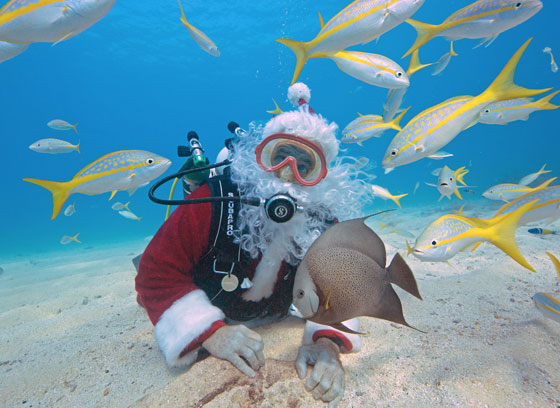 بالصور: عيد الميلاد.. جولة حول العالم صورة رقم 91