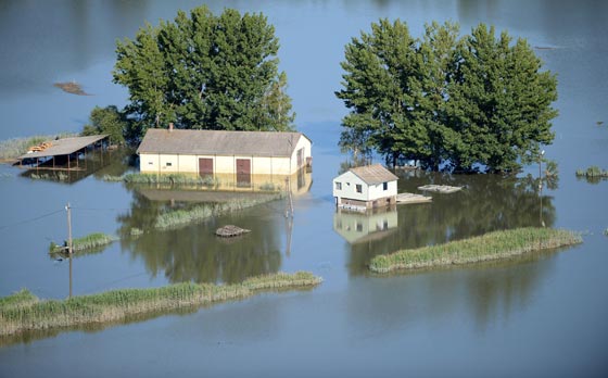 أبرز أحداث عام 2013 في صور صورة رقم 10