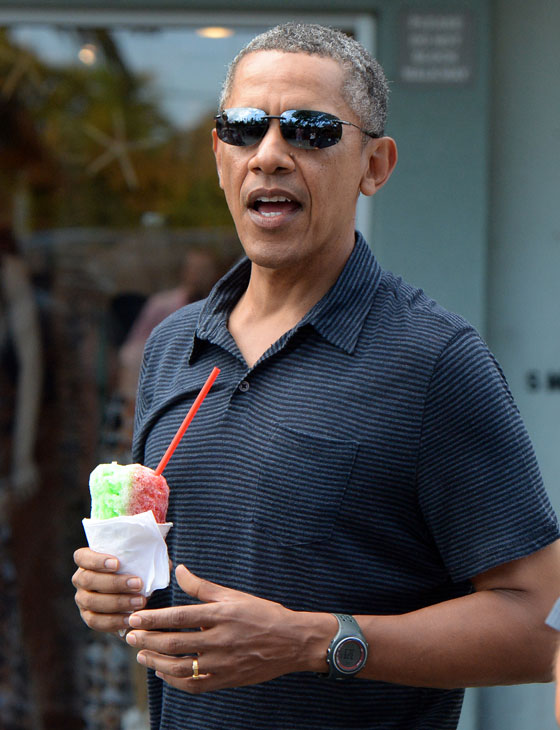 هكذا اختتم اوباما عام 2013 صورة رقم 2