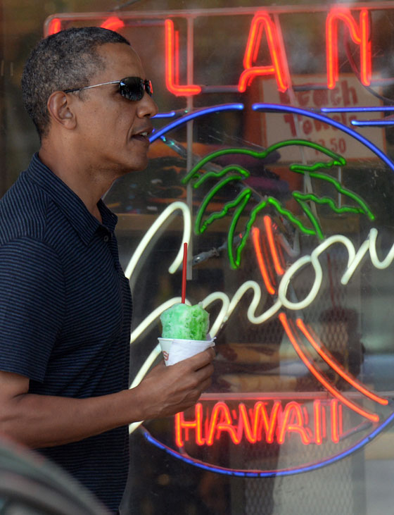 هكذا اختتم اوباما عام 2013 صورة رقم 8