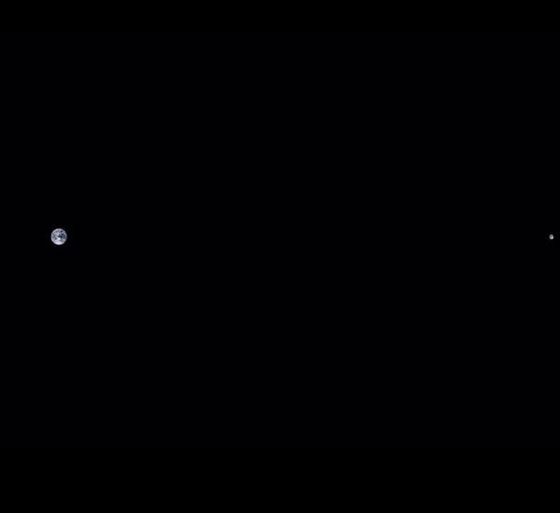 جولة حول العالم.. في دنيا الغرائب المنوعة   صورة رقم 10