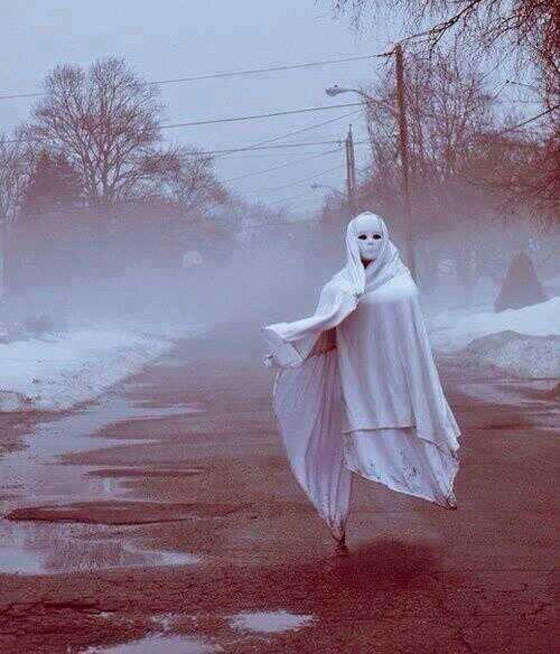 جولة حول العالم.. في دنيا الغرائب المنوعة   صورة رقم 1