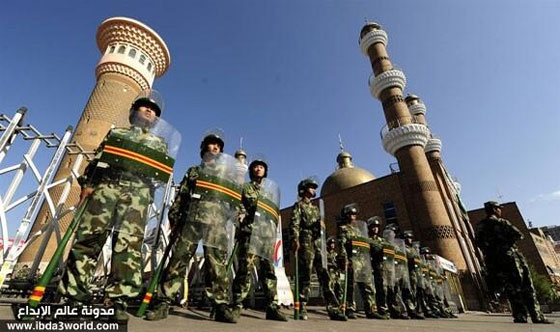 جولة حول العالم.. في دنيا الغرائب المنوعة   صورة رقم 8