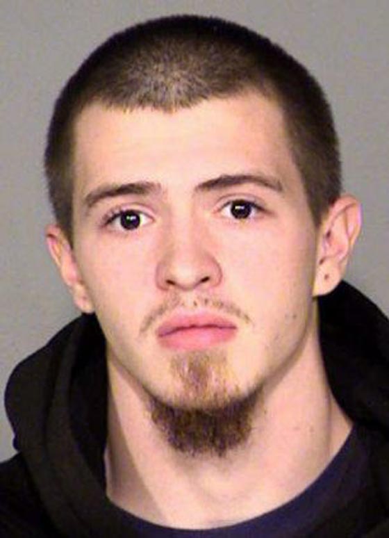 شاب يسرق ادمغة بشرية من متحف ليبيعها على فيسبوك صورة رقم 1 شاب يسرق ادمغة بشرية من متحف ليبيعها على فيسبوك صورة رقم 1