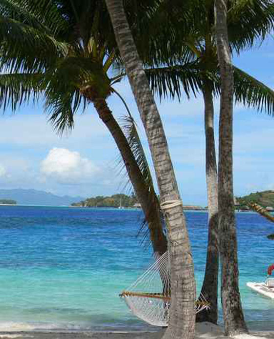 هدية ثمينة من اوباما لميشيل في عيد ميلادها الخمسين  صورة رقم 1