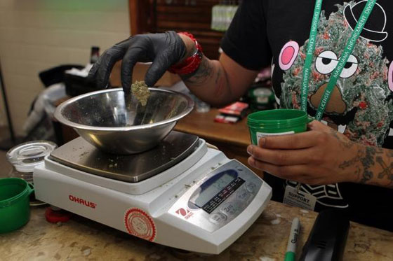 بعد السماح ببيعها.. اقبال شديد على شراء المارجوانا في كولورادو صورة رقم 4