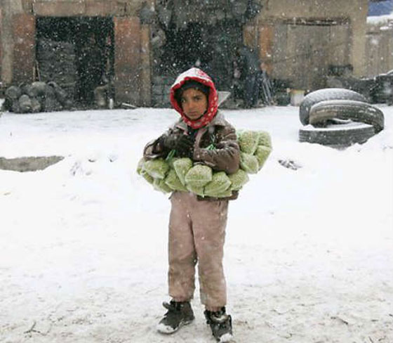 اعتقال طفلة افغانية كانت ترتدي حزاما ناسفا على جسدها صورة رقم 1 اعتقال طفلة افغانية كانت ترتدي حزاما ناسفا على جسدها صورة رقم 1
