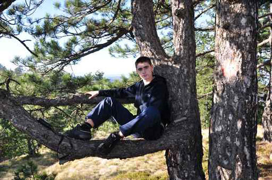 الشرطة تعتقل رجلا اعتقد انه بومة واختبأ في داخل شجرة صورة رقم 1