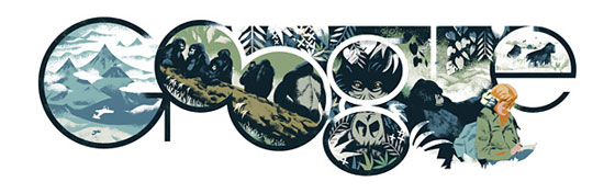 ديان فوسي..عالمة امريكية عشقت الغوريلا وقُتلت بسببها صورة رقم 4