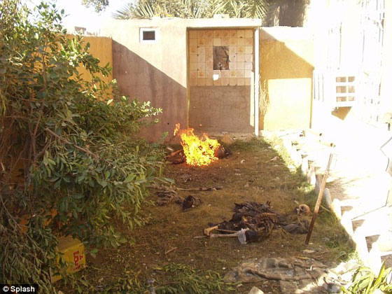 الكشف عن صور قديمة للمارينز وهم يمثلون بجثث عراقية صورة رقم 6