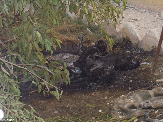 الكشف عن صور قديمة للمارينز وهم يمثلون بجثث عراقية صورة رقم 7