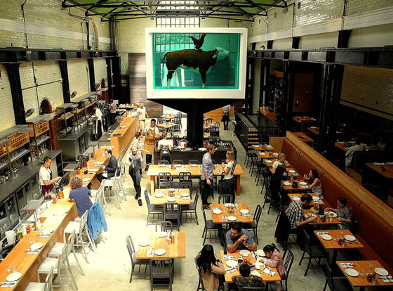 بلير يتعرض لمحاولة اعتقال من شاب وهو يتناول العشاء في مطعم صورة رقم 2 بلير يتعرض لمحاولة اعتقال من شاب وهو يتناول العشاء في مطعم صورة رقم 2