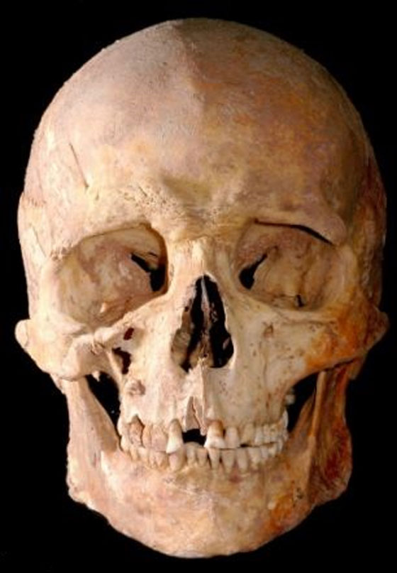 الاوروبي في العصر الحجري هو شرقي الملامح وازرق العينين صورة رقم 2