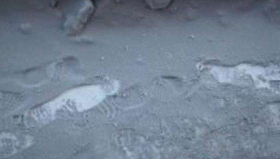 نقول (ابيض كالثلج) فهل سيتوقف هذا التعبير بعد سقوط ثلج اسود في روسيا! صورة رقم 5 نقول (ابيض كالثلج) فهل سيتوقف هذا التعبير بعد سقوط ثلج اسود في روسيا! صورة رقم 5