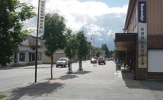 صبي سرق سيارة والديه لزيارة جديه وقال للشرطة إنه قزم! صورة رقم 2