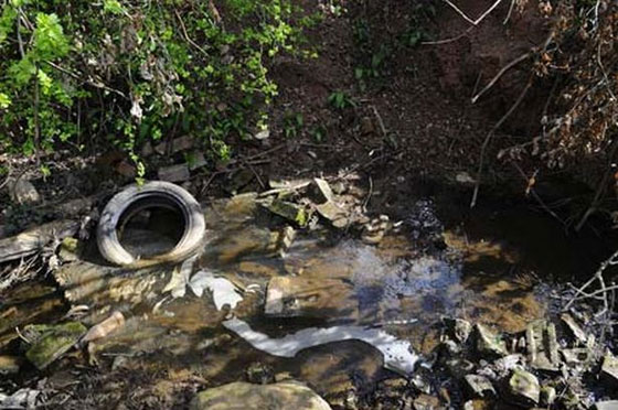 بالصور.. ابشع جرائم القتل التي ارتكبها الاطفال عبر التاريخ صورة رقم 2