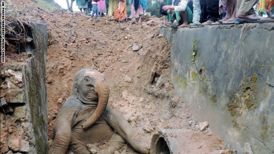 اسبوع مليء بالاحداث المثيرة شاهدوها بالصور صورة رقم 1