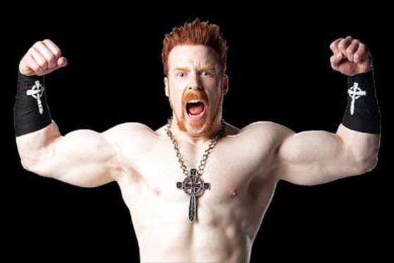 هل لديكم فكرة عن أجور مصارعي WWE؟ شاهدوها بالارقام! صورة رقم 6