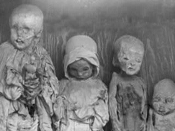 القصة الحقيقية لمصاصة الدماء من برشلونة صورة رقم 2