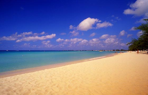 طائرة تهبط اضطرايا بسبب مشاجرة زوجية صورة رقم 1