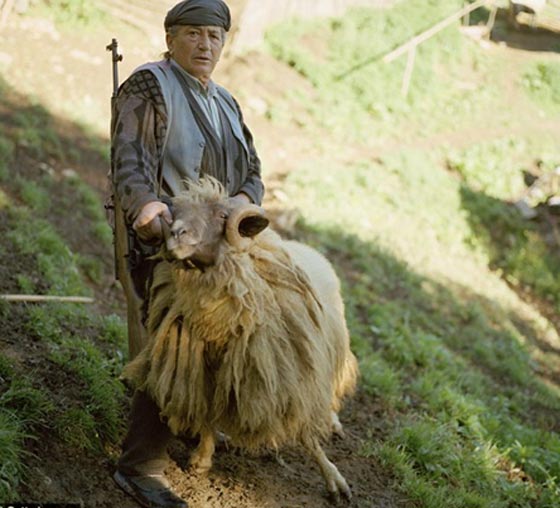 البانيات يفضلن خشونة الرجال على نعومة النساء للحفاظ على الميرات  صورة رقم 9