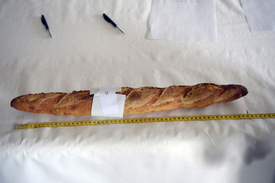 في فرنسا: مسابقة ضخمة لاختيار أفضل خبازي الباغيت  صورة رقم 9