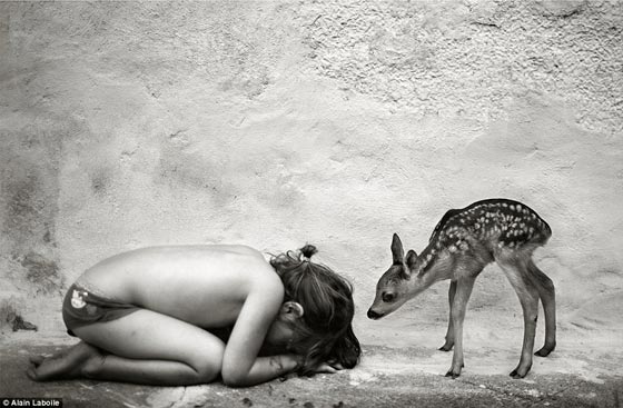 صور: فرنسي يكشف براءة الفوضى المحببة التي يتركها أطفاله الستة صورة رقم 8