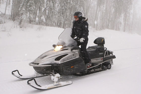 السياسة في نظر بوتين.. عراك كلاب يشمل النهش والعض صورة رقم 4