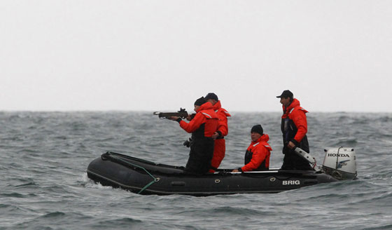 السياسة في نظر بوتين.. عراك كلاب يشمل النهش والعض صورة رقم 10