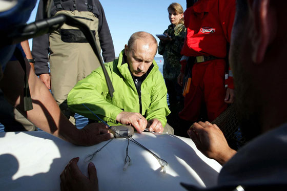 السياسة في نظر بوتين.. عراك كلاب يشمل النهش والعض صورة رقم 11