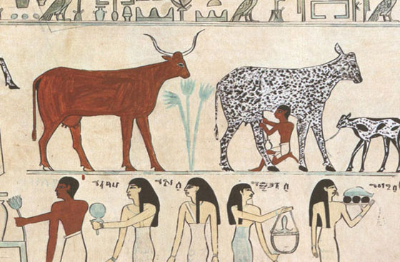 حقائق ممتعة عن انجازات الشرق الاوسط وتفوقه صورة رقم 4