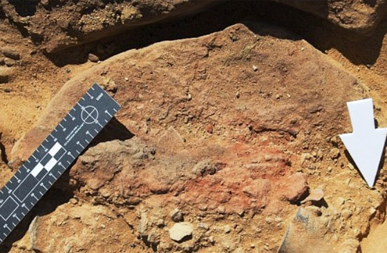 عالم آثار: عثرنا على القاعدة السرّية لـ 