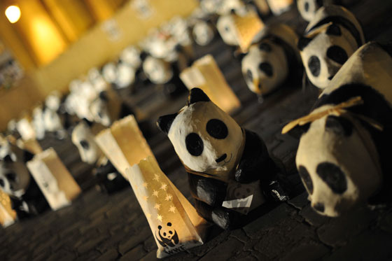 ساعة الارض تطفئ الاف المدن في مختلف ارجاء الارض!! صورة رقم 32