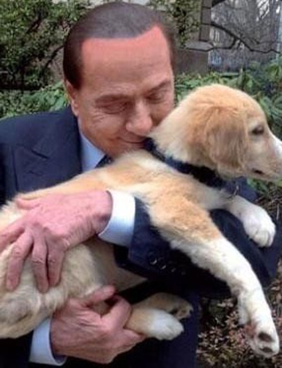 لتحسين صورته.. برلوسكوني يدعو لتبني الكلاب والقطط الضالة  صورة رقم 2