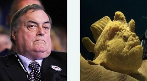 يخلق من الشبه اربعين.. شبه كبير بين سمكة وسياسي بريطاني  صورة رقم 1