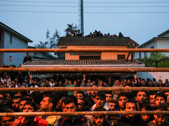 تفاصيل مثيرة ترويها ام ايرانية صفعت قاتل ابنها وحررته من المشنقة صورة رقم 10