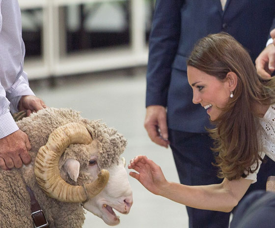 كيت ميدلتون تضحك على 