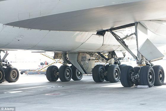 صبي عبر المحيط وهو مختبئ في عجلات الطائرة ووصل سالماً صورة رقم 4