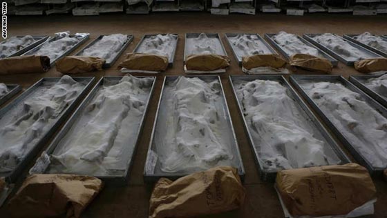 تلخيص احداث الأسبوع في صور.. عربة حمار ورجل الغاب وغيرها صورة رقم 3