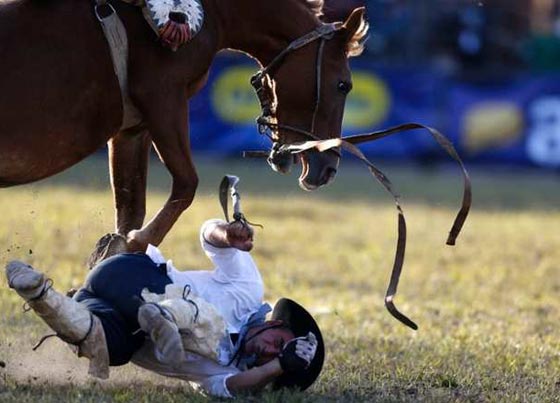تلخيص احداث الأسبوع في صور.. عربة حمار ورجل الغاب وغيرها صورة رقم 7