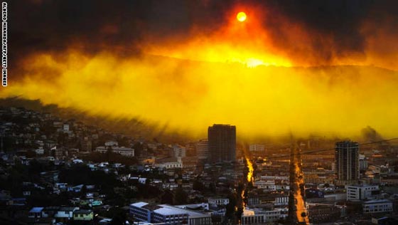 تلخيص احداث الأسبوع في صور.. عربة حمار ورجل الغاب وغيرها صورة رقم 1