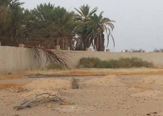 ام عادل: شقيقتي وضعت لي السحر في المقابر ودمرتني انا واولادي! صورة رقم 5