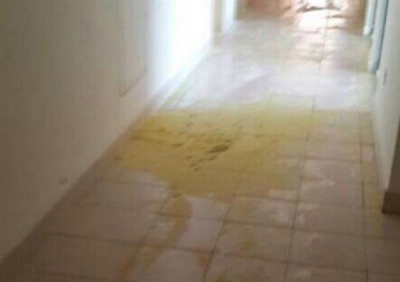 لغز عبدة الشياطين في جامعة الحسين بن طلال في الاردن صورة رقم 7